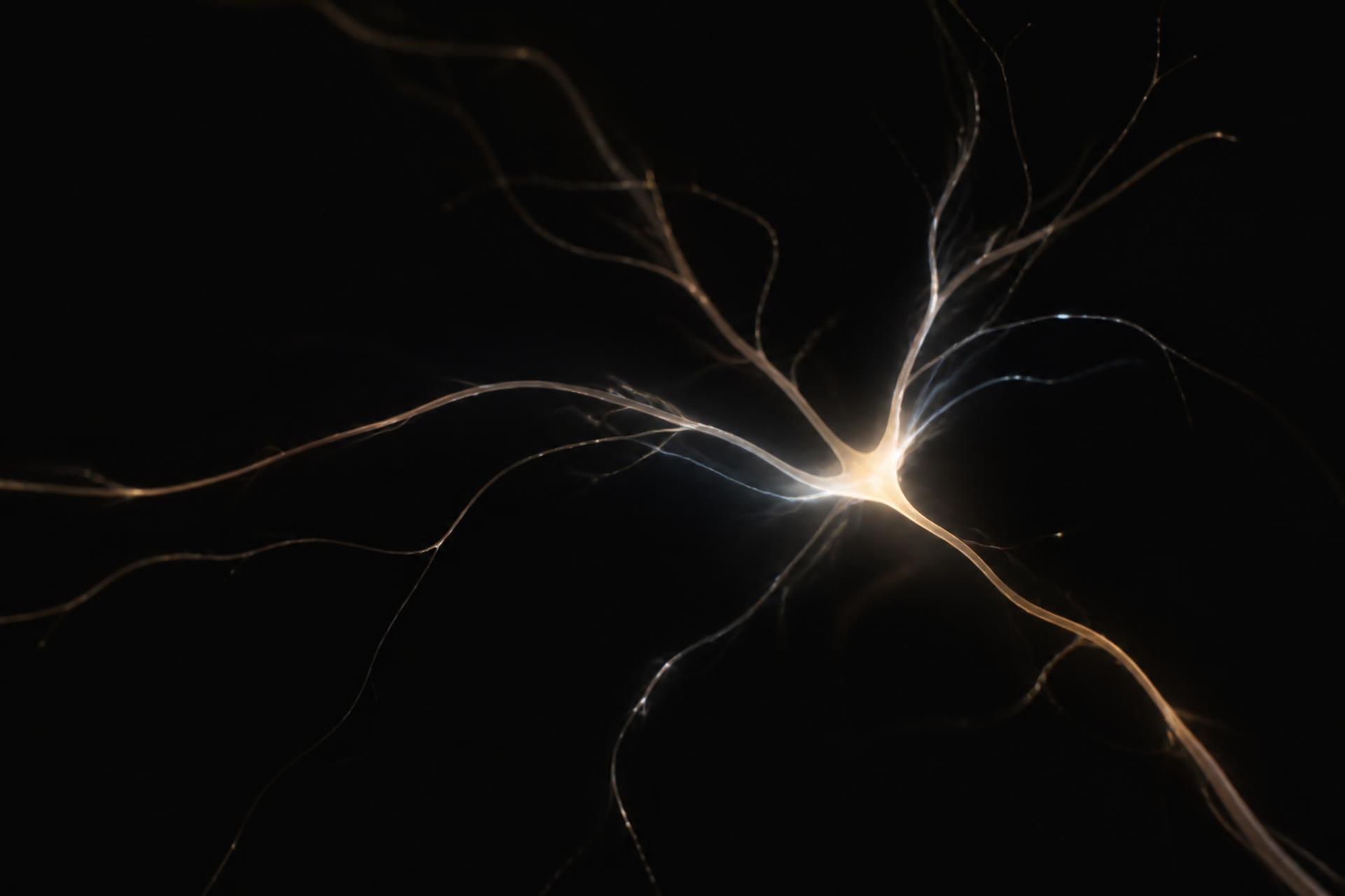 Abstract illustration of a single luminous neural filament